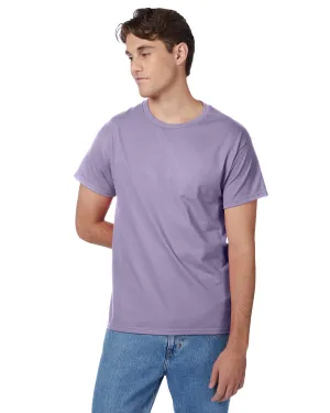 5250T-Hanes-LAVENDER