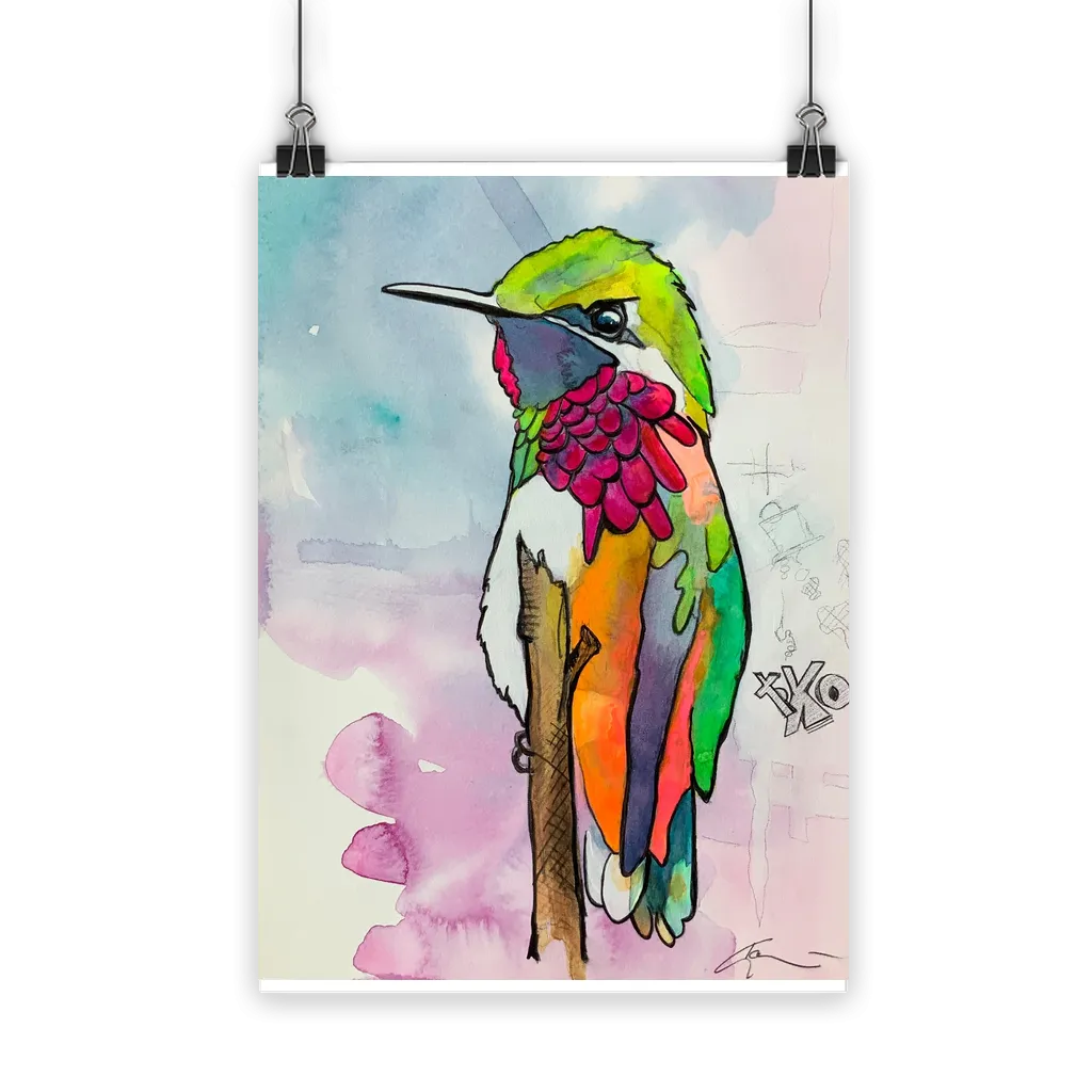 Hummingbird Classic Poster