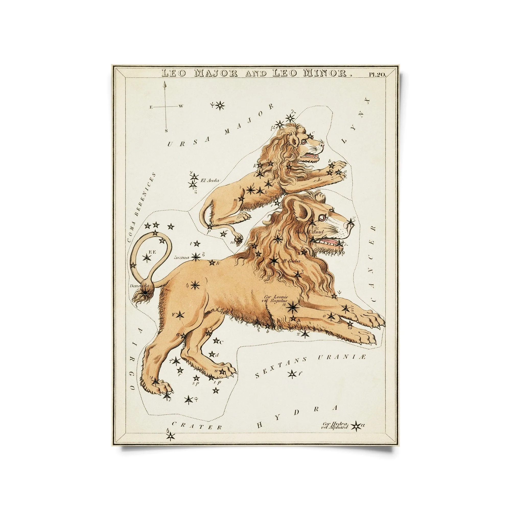 Vintage Zodiac Sign Astrology Print