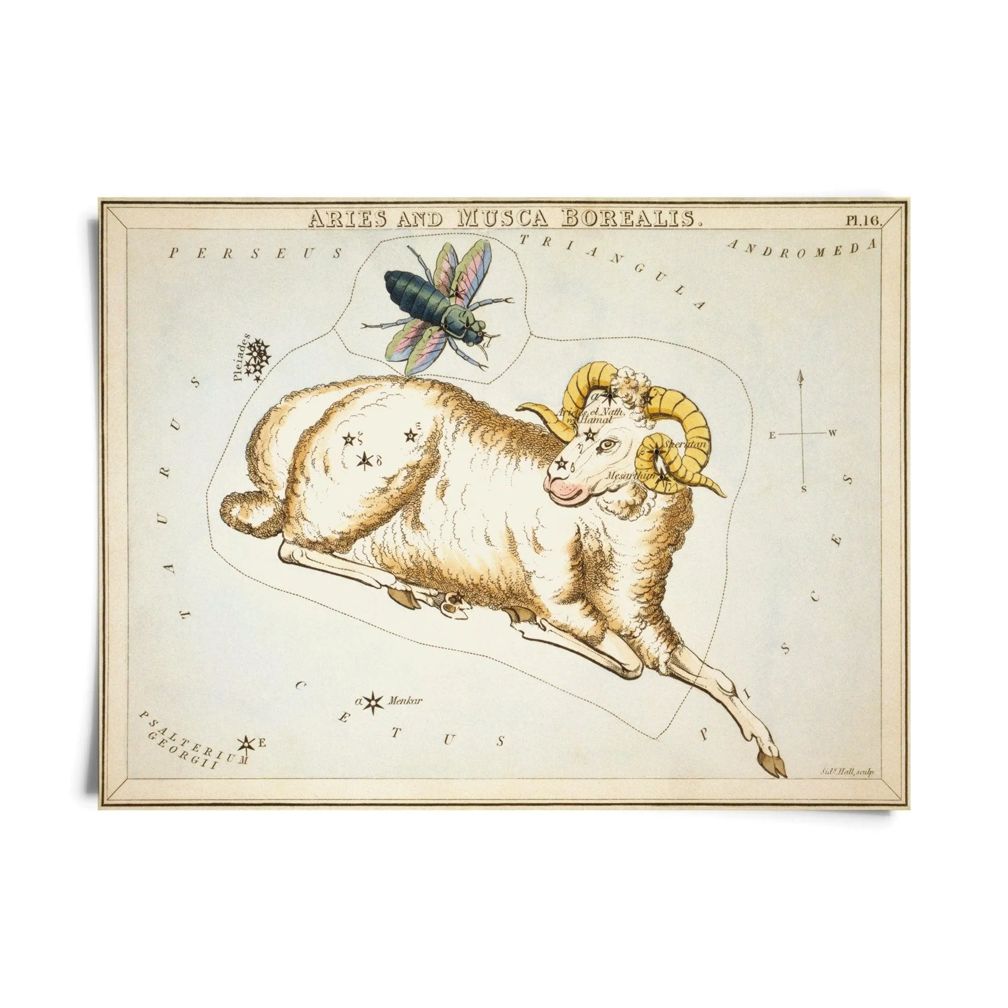 Vintage Zodiac Sign Astrology Print