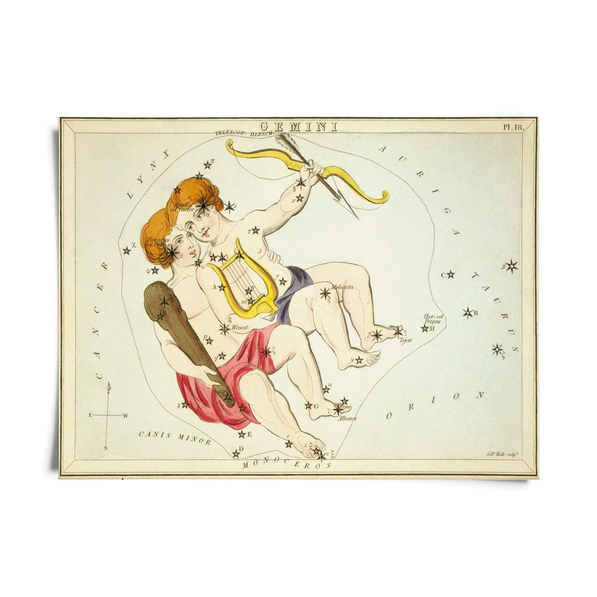 Vintage Zodiac Sign Astrology Print