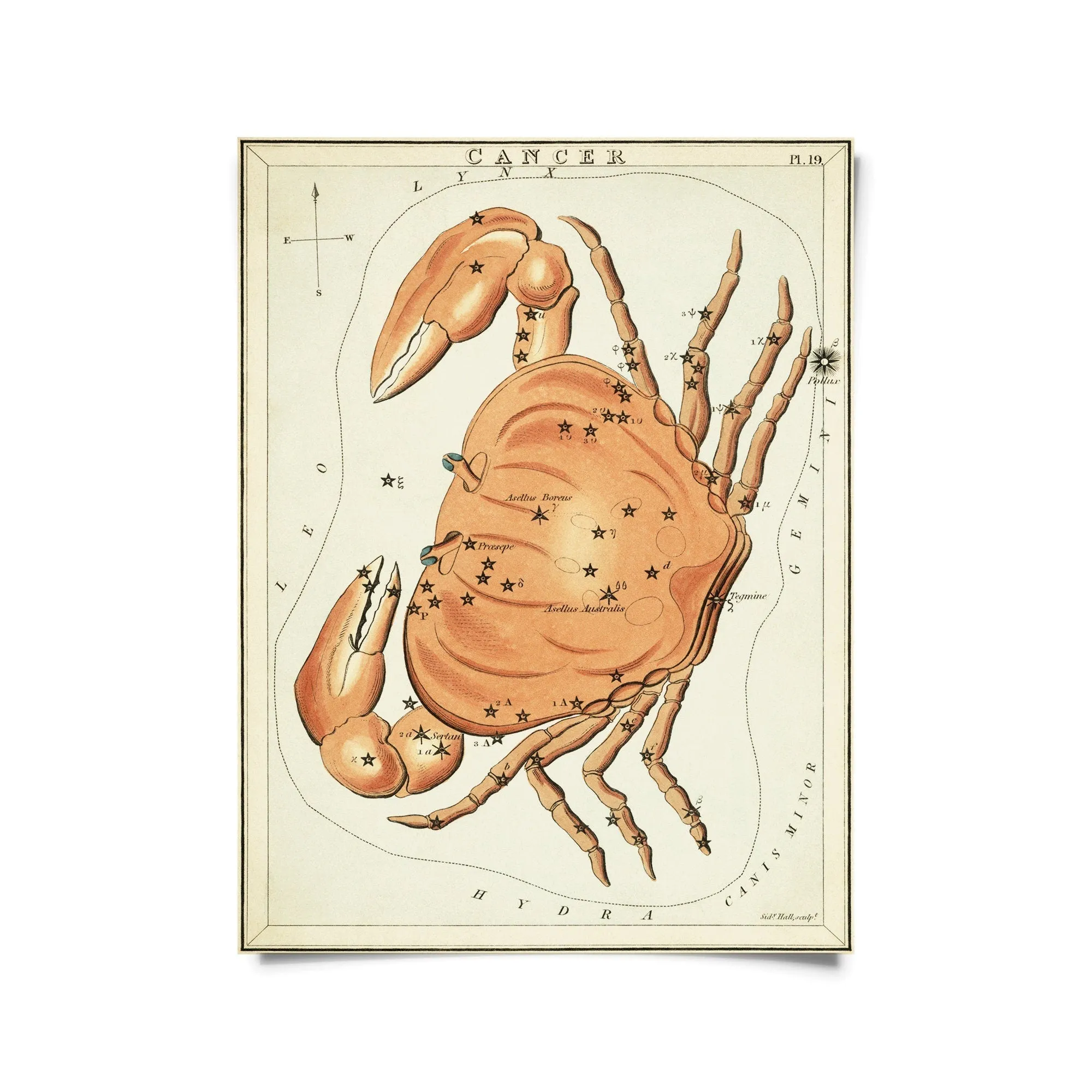 Vintage Zodiac Sign Astrology Print