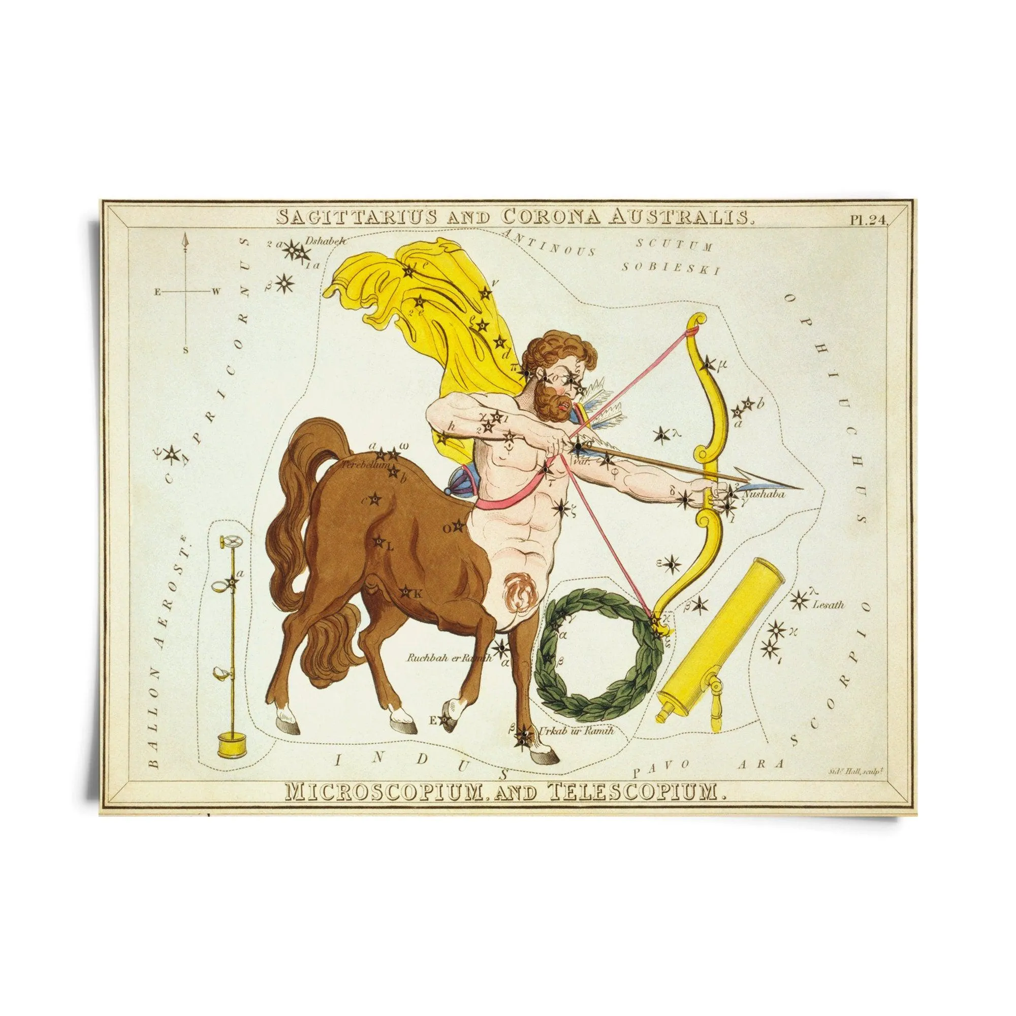 Vintage Zodiac Sign Astrology Print